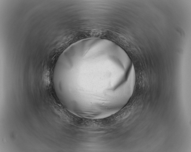 X0000111920962200908101218