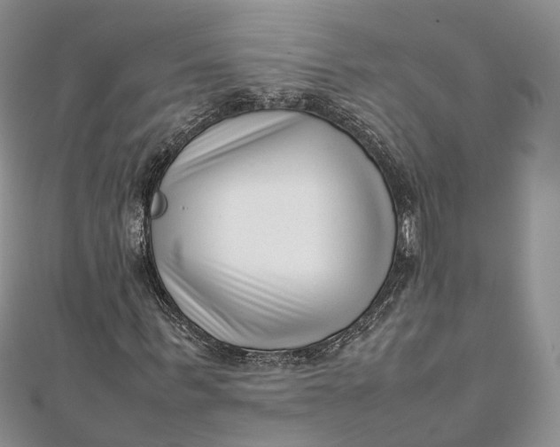 X0000111920963200908101218