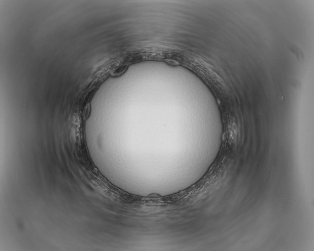 X0000111920964200908101218