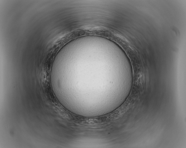 X0000111920966200908101218