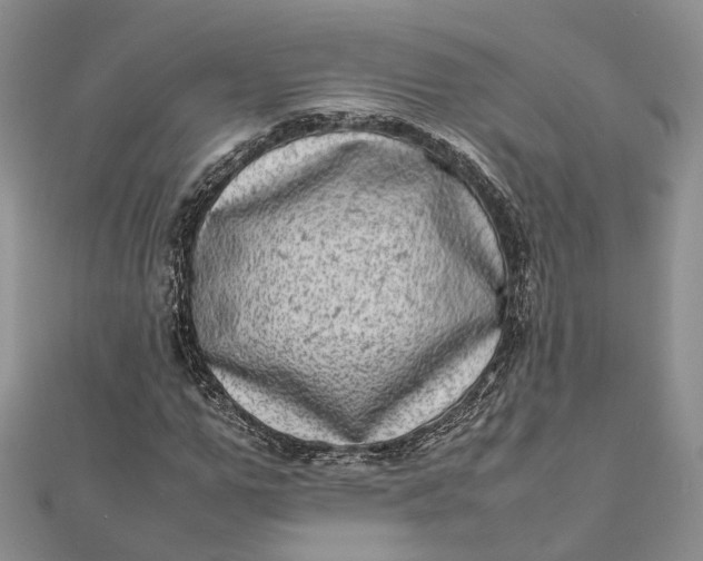 X0000111920967200908101218