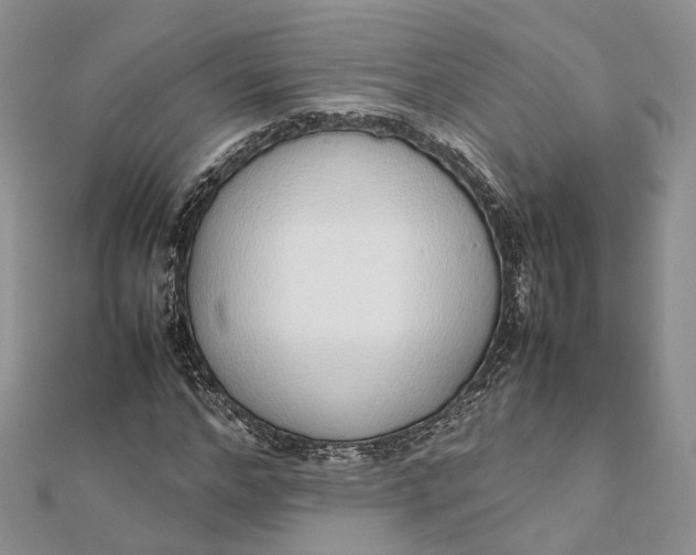 X0000111920968200908101218