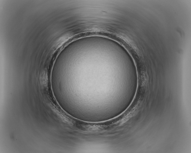 X0000111920969200908101218