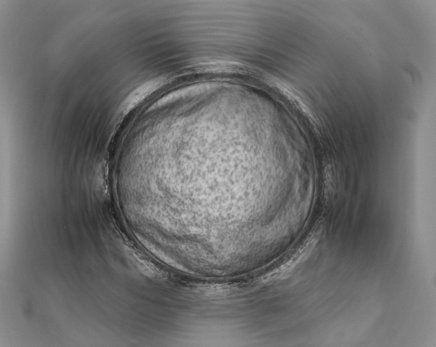 X0000111920970200908101218