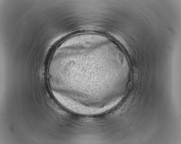 X0000111920971200908101218