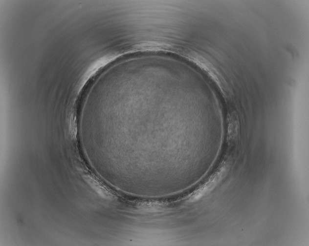 X0000111920973200908101218