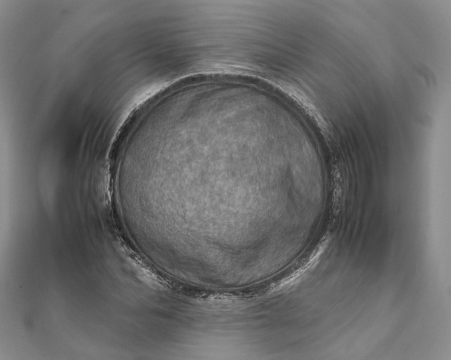 X0000111920974200908101218