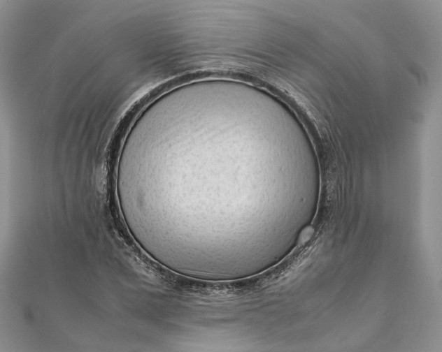 X0000111920975200908101218