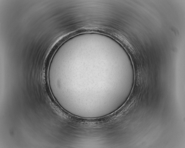 X0000111920976200908101218