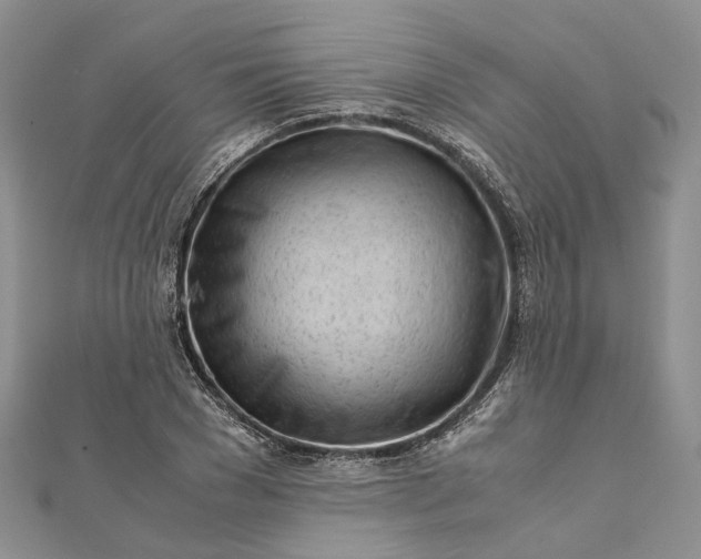 X0000111920977200908101218