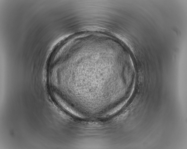 X0000111920979200908101218