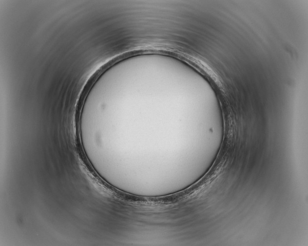 X0000111920980200908101218