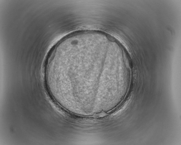 X0000111920981200908101218