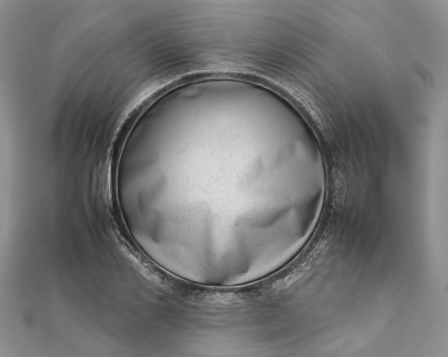 X0000111920982200908101218