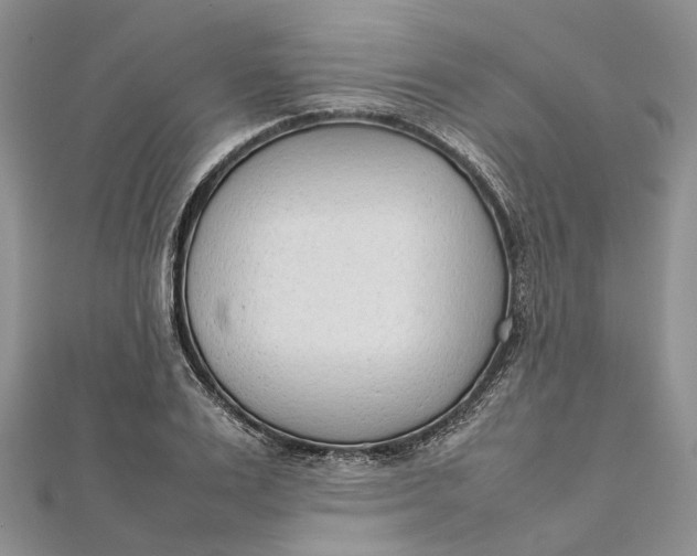 X0000111920983200908101218