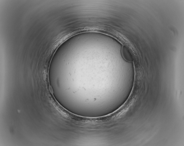 X0000111920985200908101218