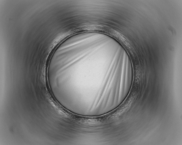 X0000111920986200908101217