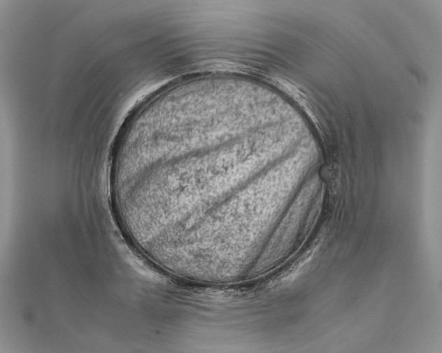 X0000111920987200908101217