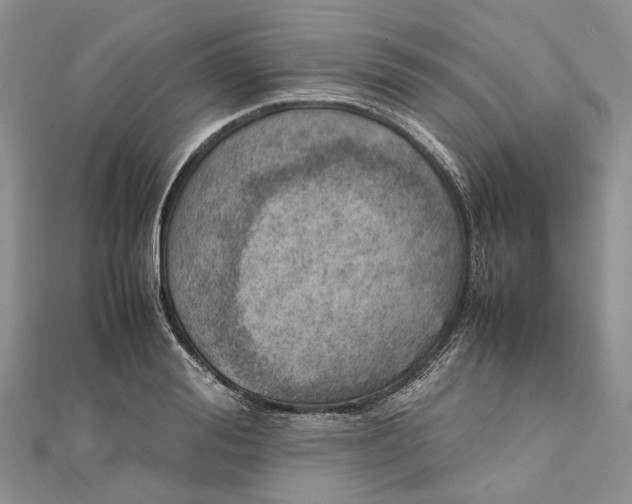 X0000111920988200908101217