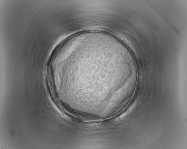 X0000111920989200908101217