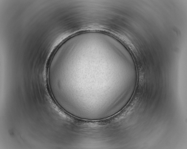 X0000111920990200908101217