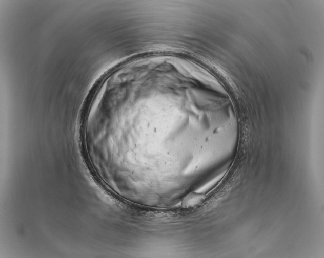 X0000111920991200908101217