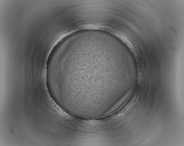 X0000111920992200908101217