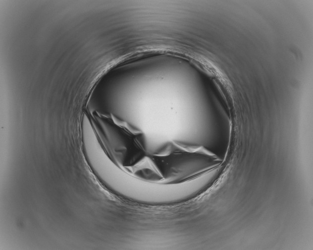 X0000111920993200908101217