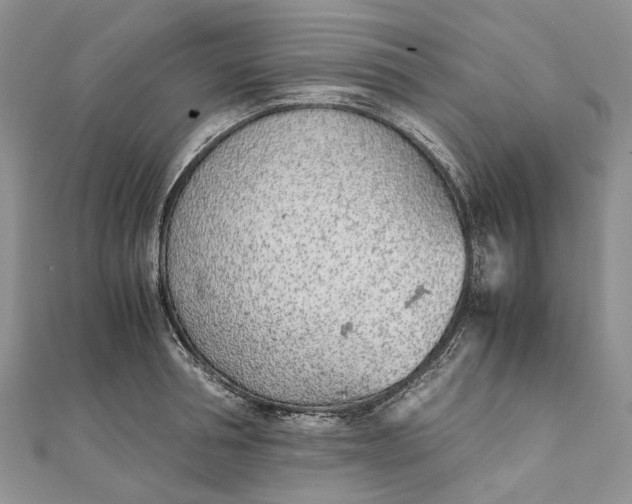 X0000111920994200908101217