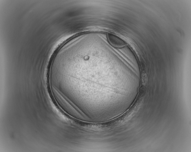 X0000111920995200908101217