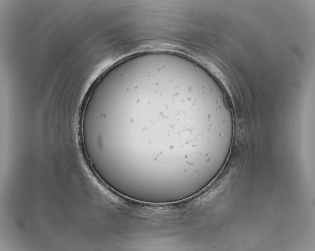 X0000111920997200908101217