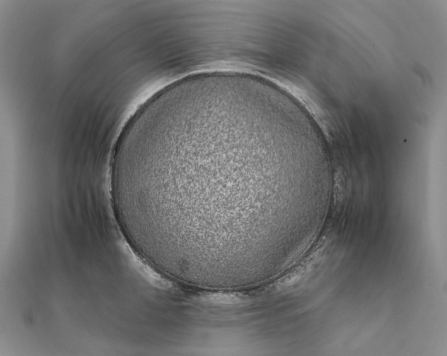 X0000111920998200908101217