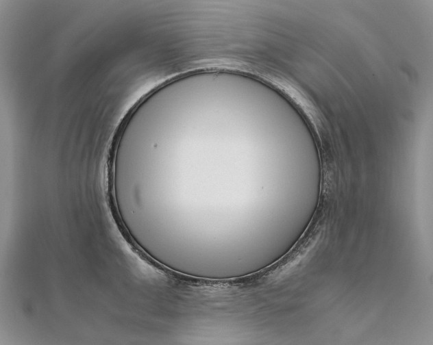 X0000111920999200908101217