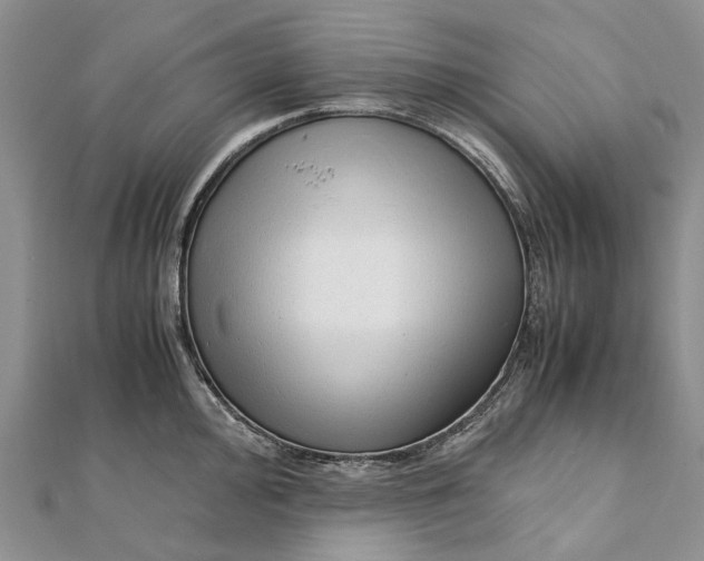 X0000111921000200908101217