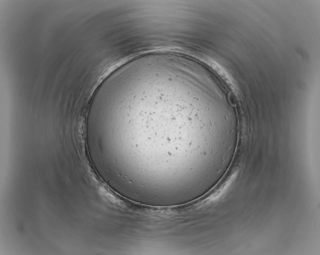 X0000111921001200908101217