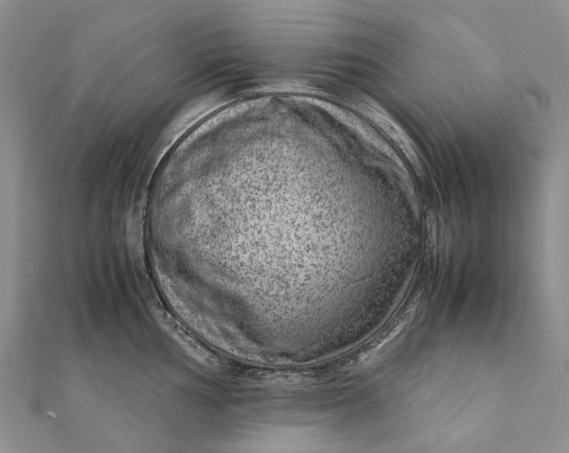 X0000111921002200908101217