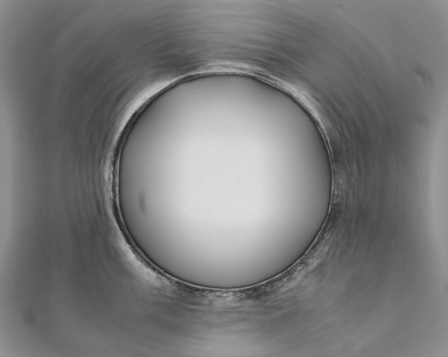 X0000111921003200908101217