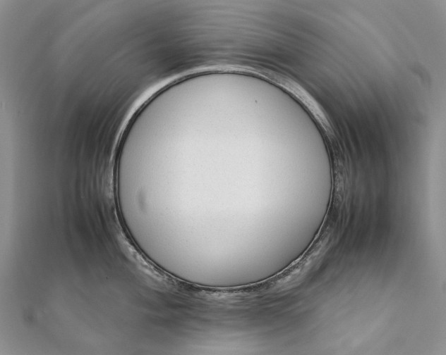 X0000111921004200908101217