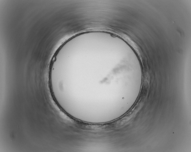 X0000111921005200908101217