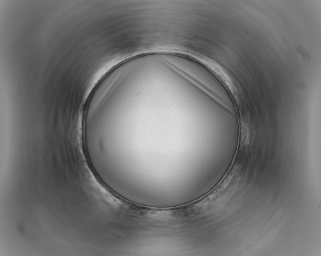 X0000111921006200908101217