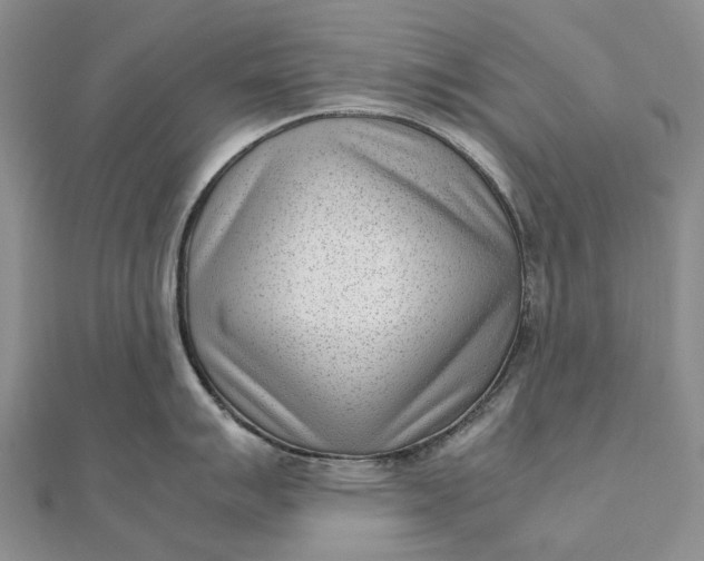 X0000111921007200908101217