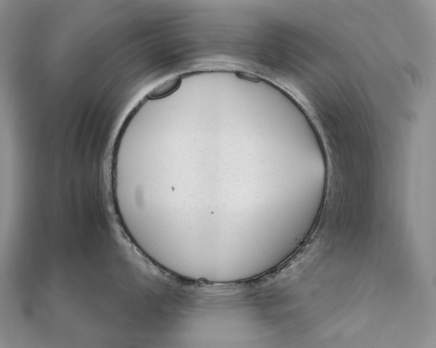 X0000111921008200908101217