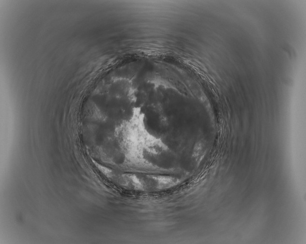 X0000111921009200908101216