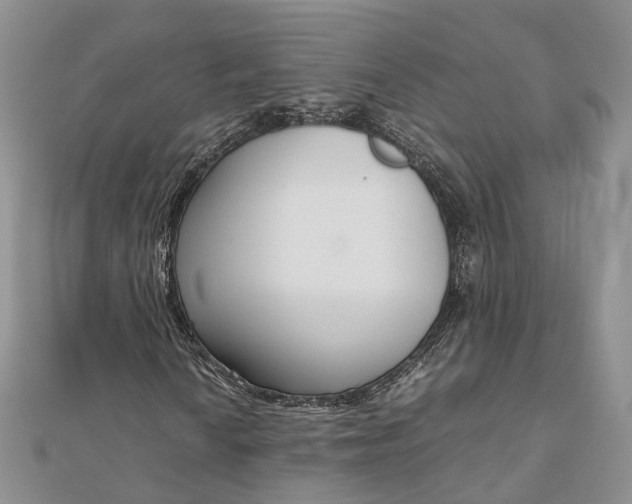 X0000111921010200908101216