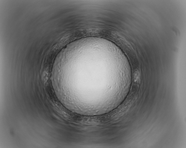 X0000111921011200908101216