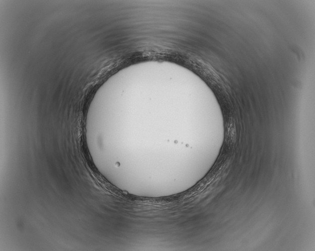 X0000111921012200908101216