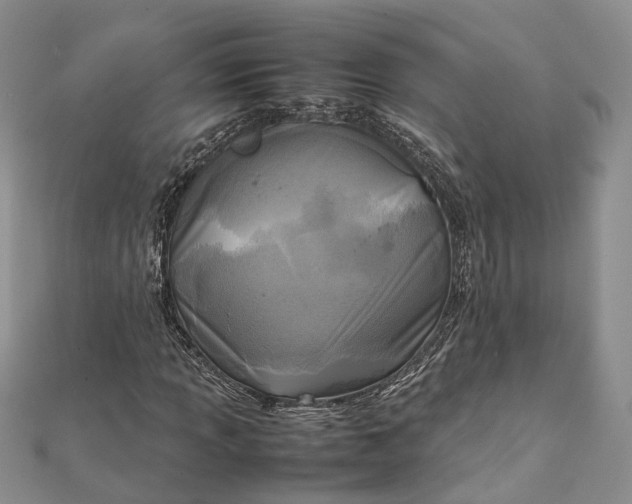 X0000111921013200908101216