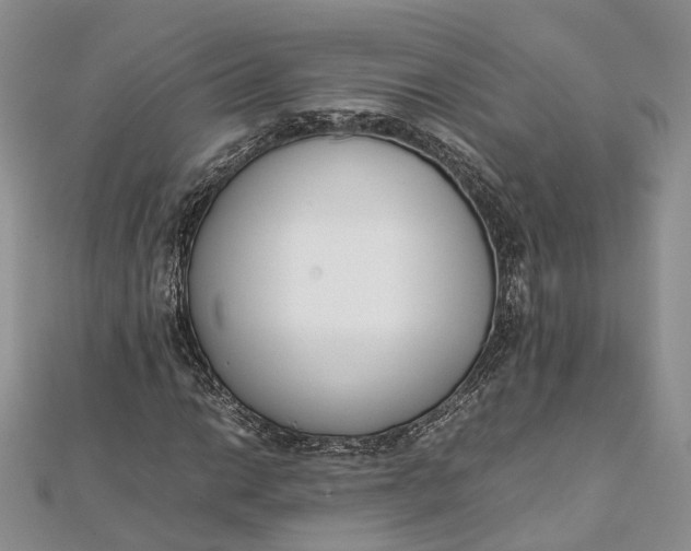 X0000111921014200908101216