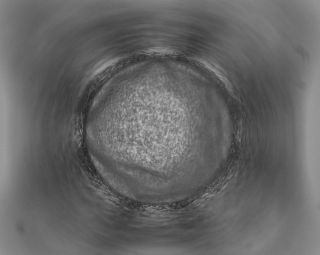 X0000111921015200908101216