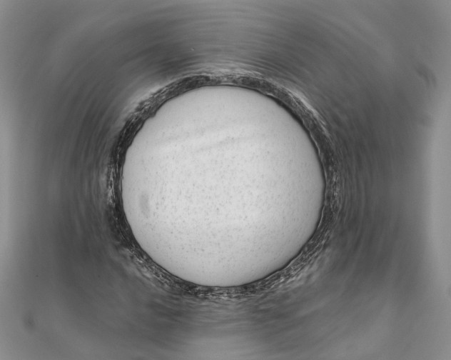 X0000111921016200908101217